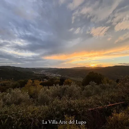 Two Birds-la Arte Del Lupo 苏比亚诺