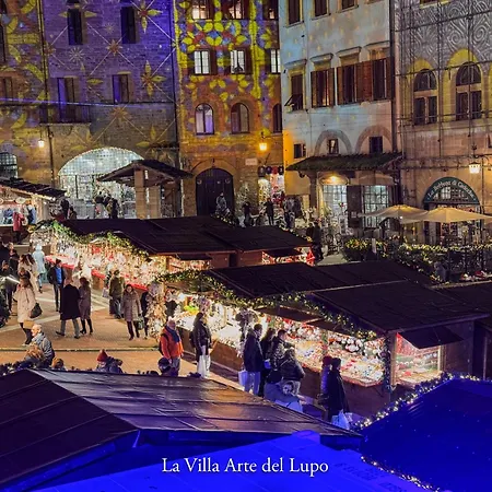 Two Birds-la Arte Del Lupo Daire