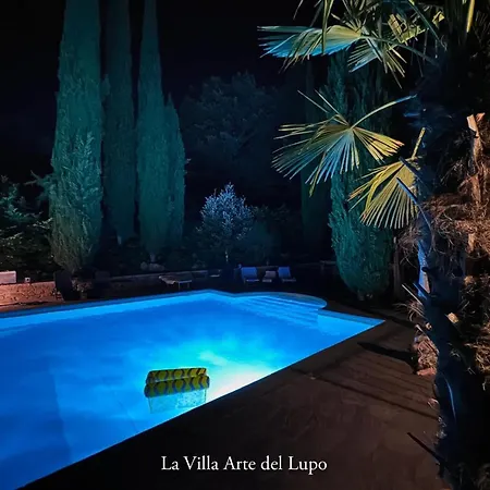 Two Birds-la Arte Del Lupo 苏比亚诺