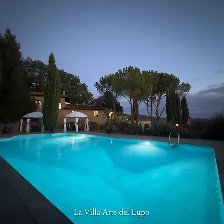 Daire Two Birds-la Arte Del Lupo *
